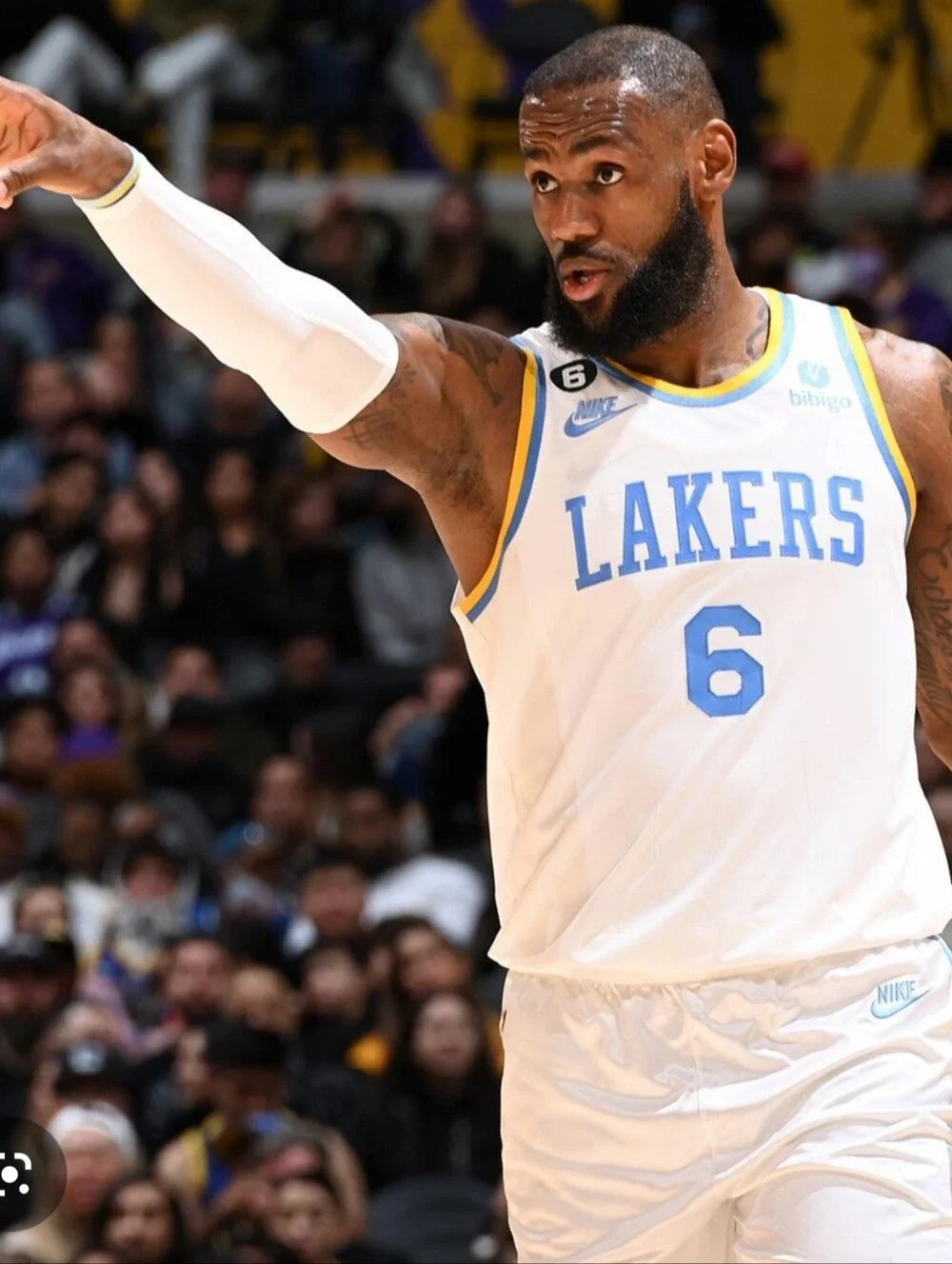 Nike LeBron James #6 LA Lakers/Minneapolis Classic Edition NBA Swingman JERSEY.